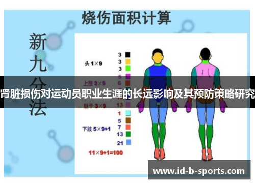 肾脏损伤对运动员职业生涯的长远影响及其预防策略研究