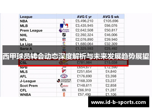 西甲球员转会动态深度解析与未来发展趋势展望 西甲球员转会动态深度解析与未来发展趋势展望